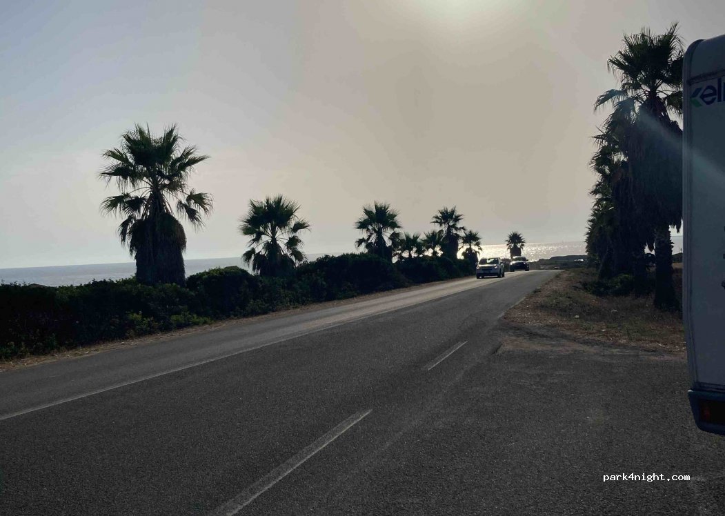 (09072) Cabras - SP59 — foto