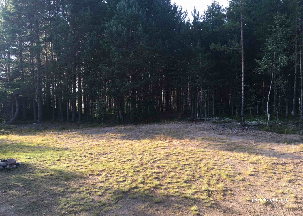 (790 70) Furudal - Unnamed Road — foto 2