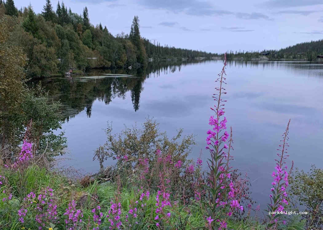 (3697) Vestfold og Telemark - 459 Gaustavegen — foto 3