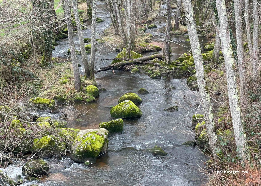 (03250) Saint-Clément - Brodière — foto 3
