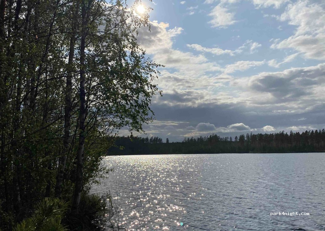 (790 70) Furudal - Unnamed Road — foto 5