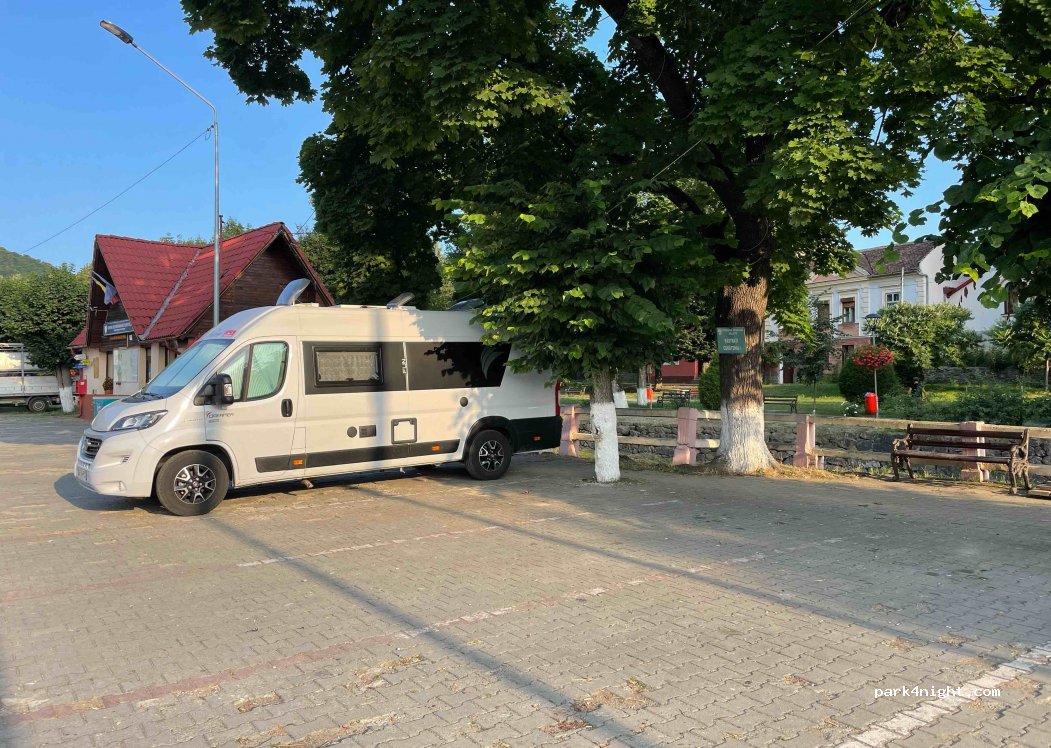 (557225) Săliște - 112 DJ106E — foto 2