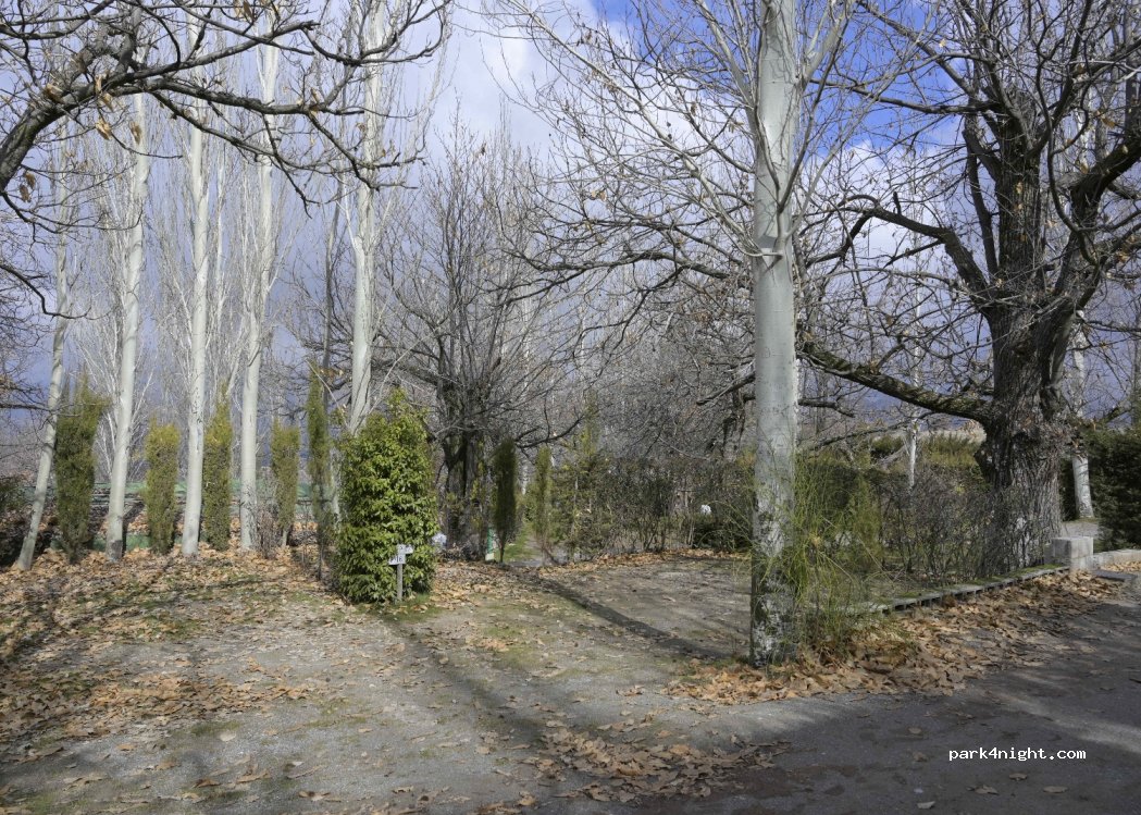 Camping Ruta del Purche — foto 2