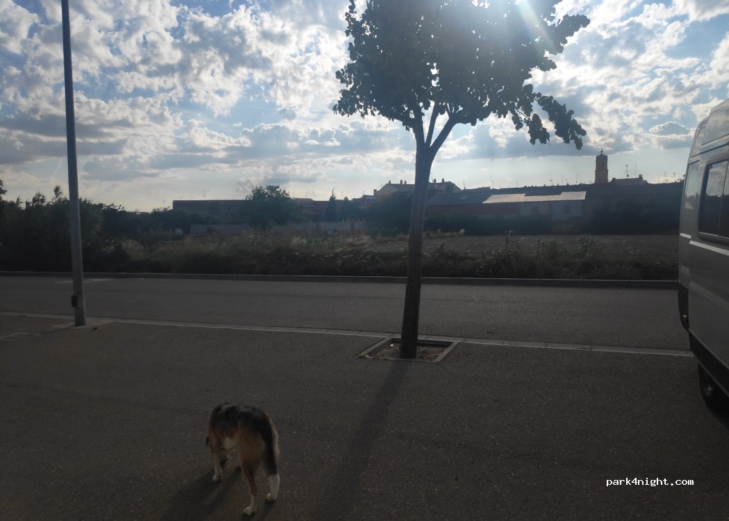 (50550) Mallén - 7 Camino Calveta — foto 4