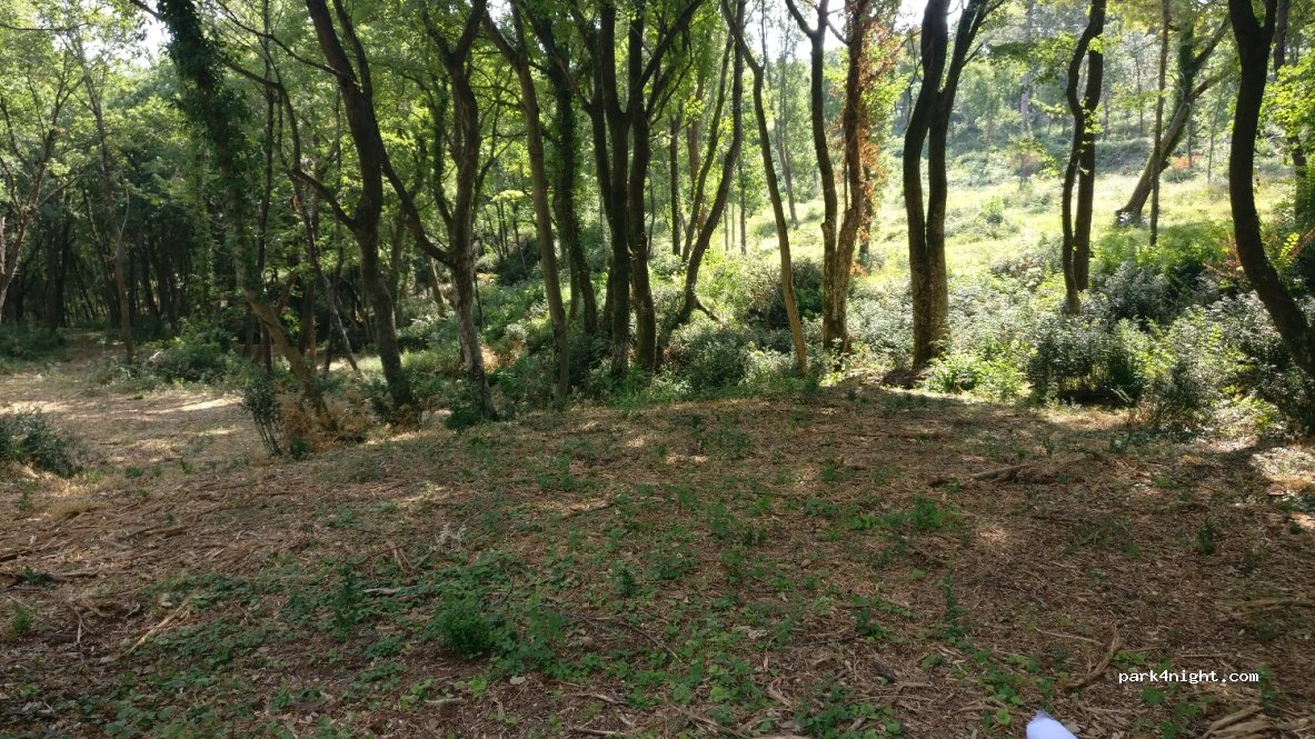 (51418) Brseč - — foto
