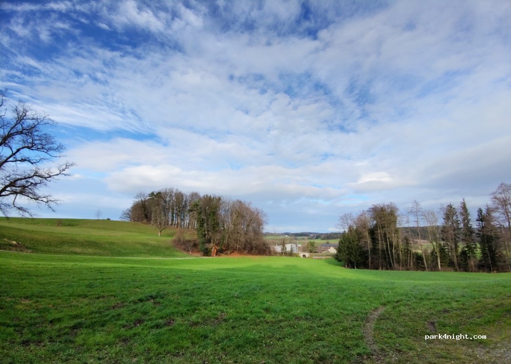 (9555) Affeltrangen - Erikonerstrasse — foto 3