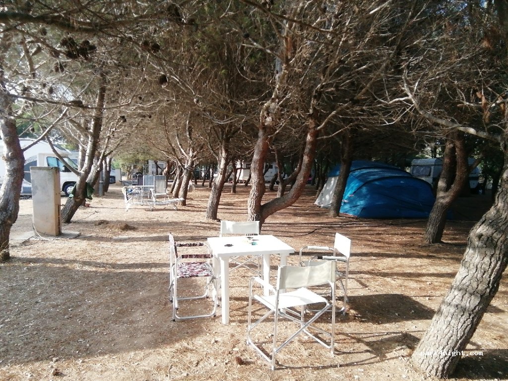 Area di sosta La Pineta — foto 3