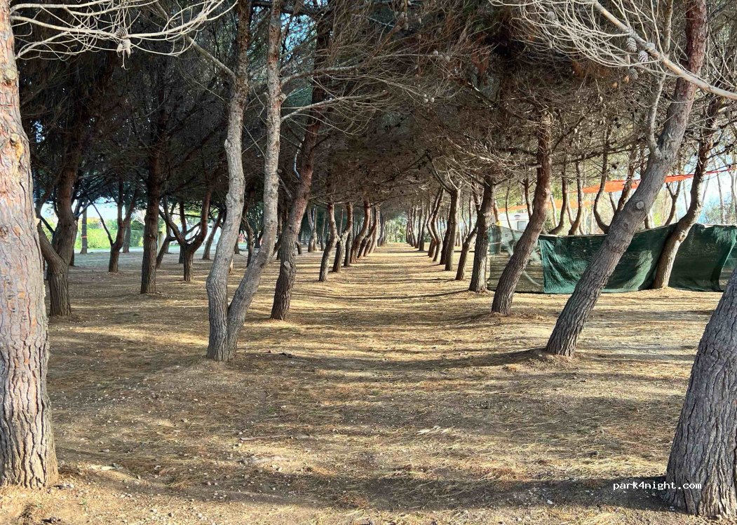 Area di sosta La Pineta — foto 4