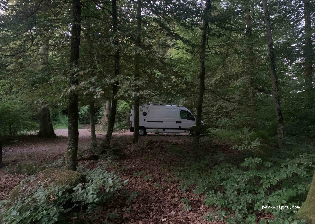 (3283) Niederried bei Kallnach - 4 Golatenstrasse — foto 3