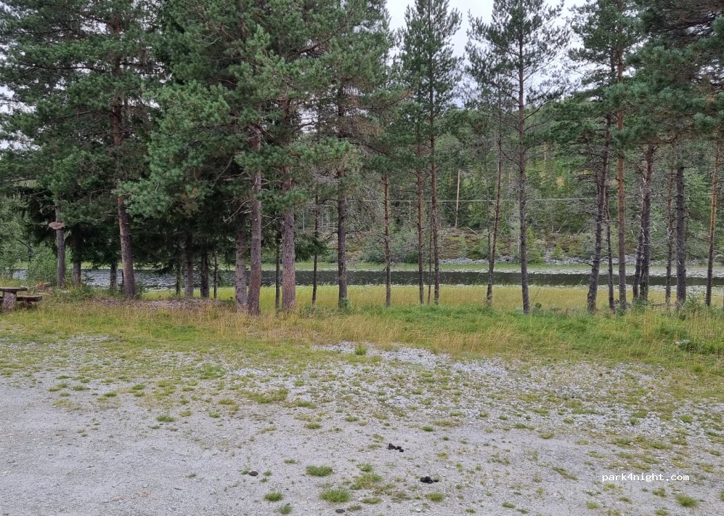 (7690) Trondheim - Sekundær Fylkesveg 191 — foto 2