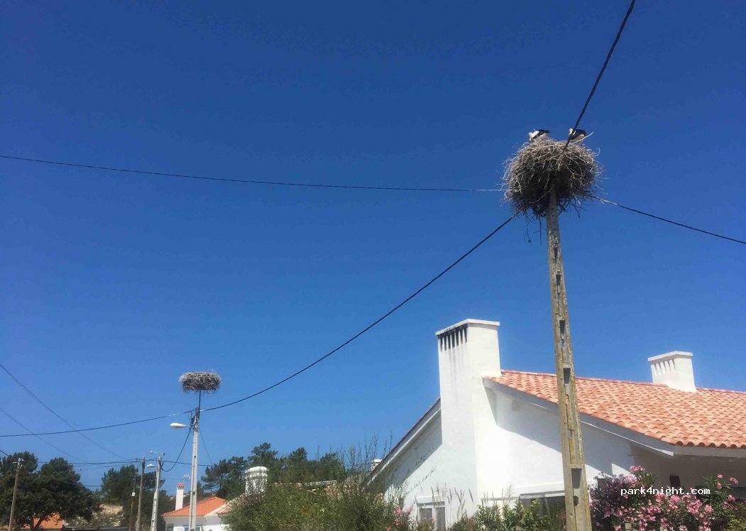 (7570) Carvalhal - Rua Da Faina — foto 2