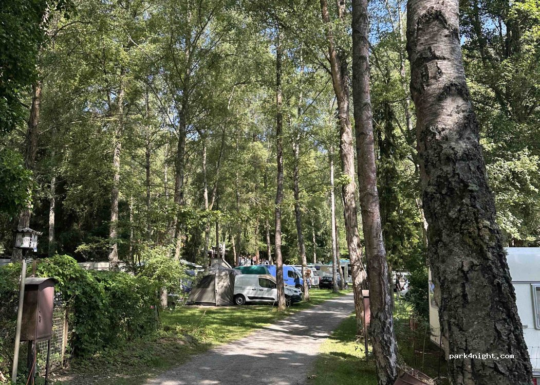Camping Forelle — foto 4