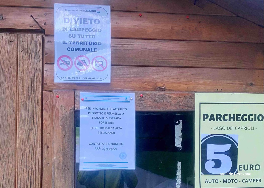 (38020) Pellizzano - 41 Località Fazzon — foto 4
