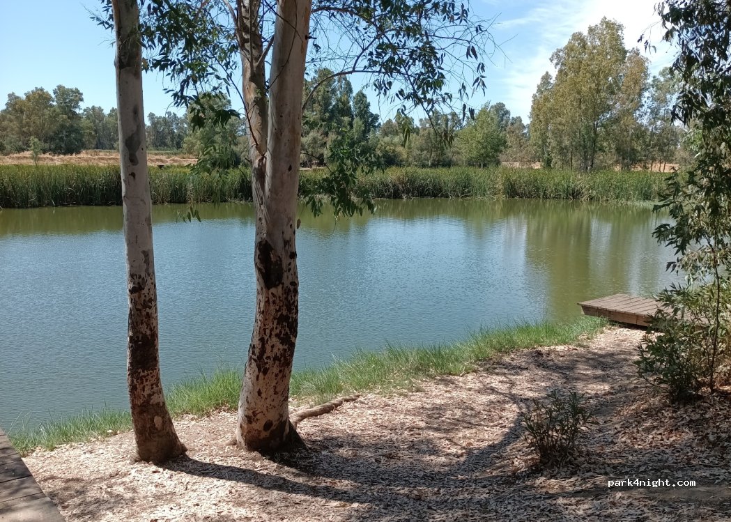 (06490) Puebla de la Calzada - Unnamed Road — foto