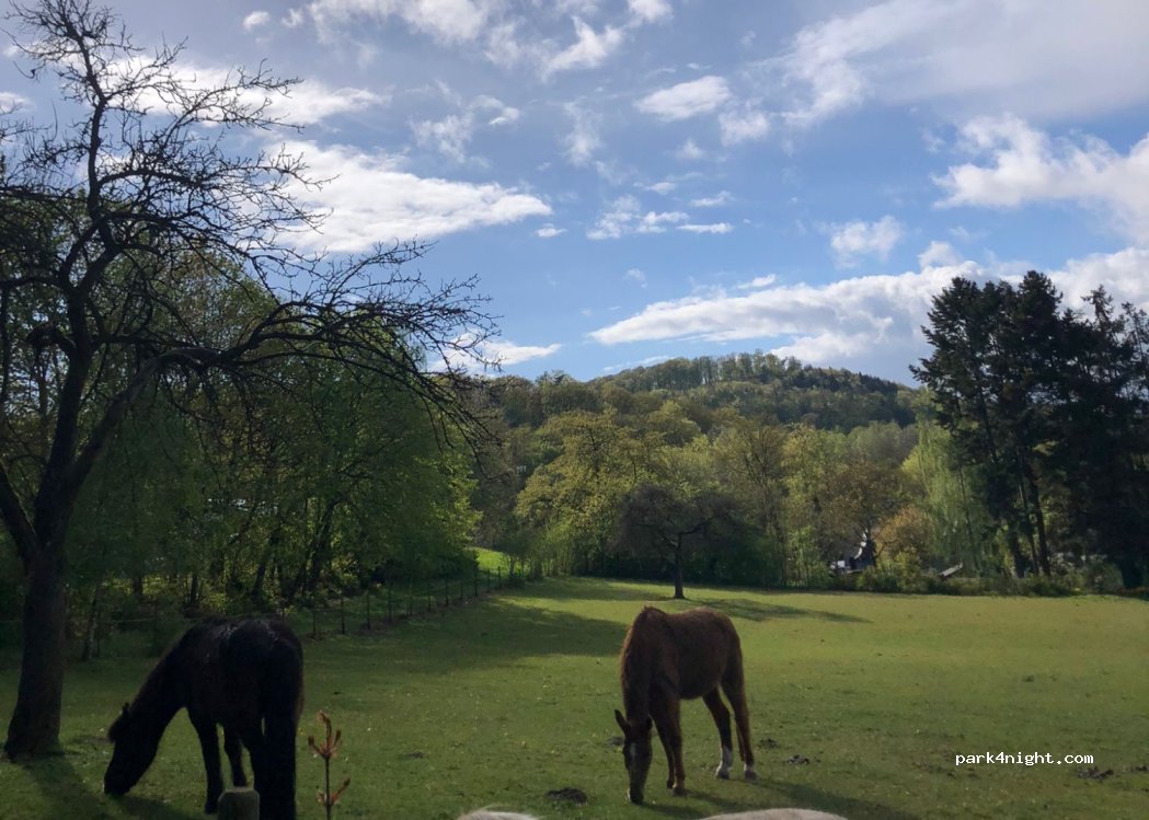 (56653) Wassenach - 32 Laacher Straße — foto 2
