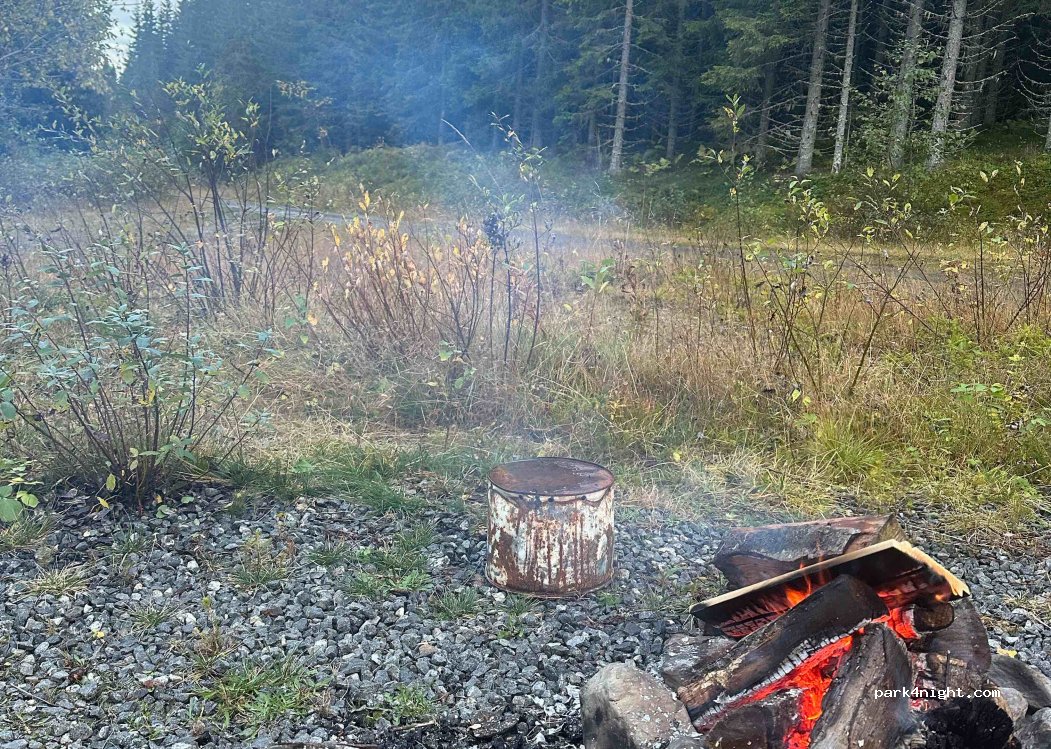 (2910)  - Sekundær Fylkesveg 220 — foto 3