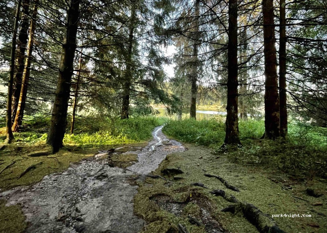 (37447) Clausthal-Zellerfeld - — foto