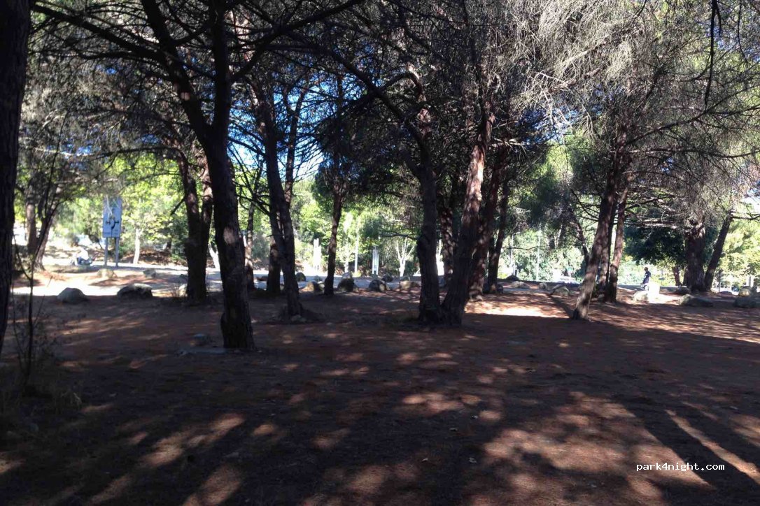 (20260) Calvi - Route de la Pinède — foto 2