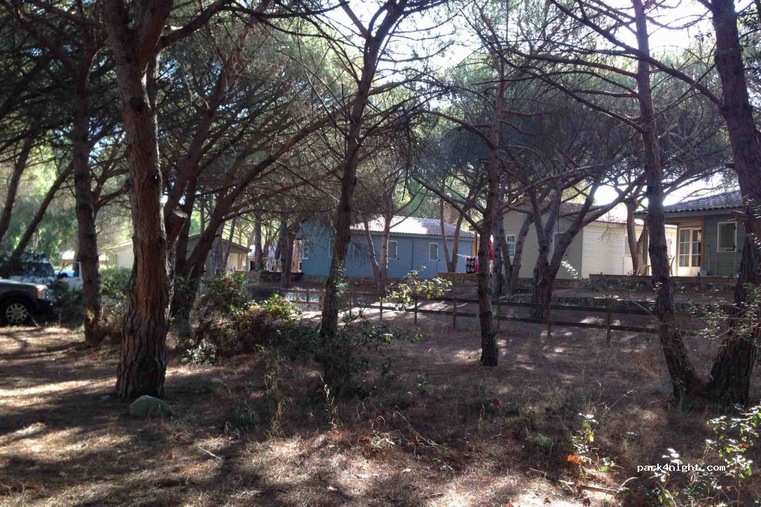 (20260) Calvi - Route de la Pinède — foto 3