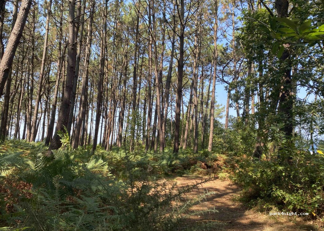 (33789) Valdés - Cam. Las Regueirinas — foto 3
