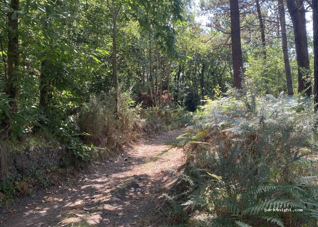 (33789) Valdés - Cam. Las Regueirinas — foto 4