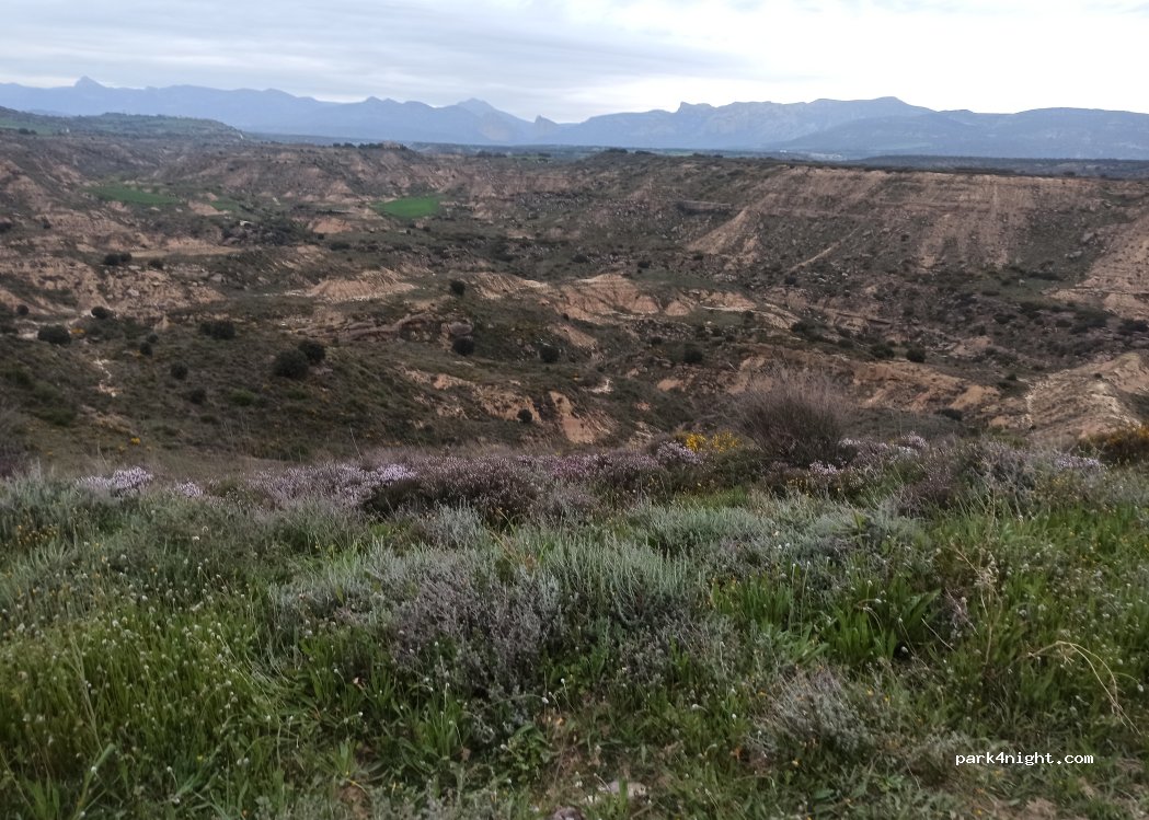 (22191) Quicena - Unnamed Road — foto 4
