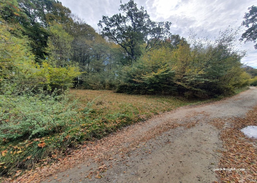 (917025) Chirnogi - Unnamed Road — foto 2