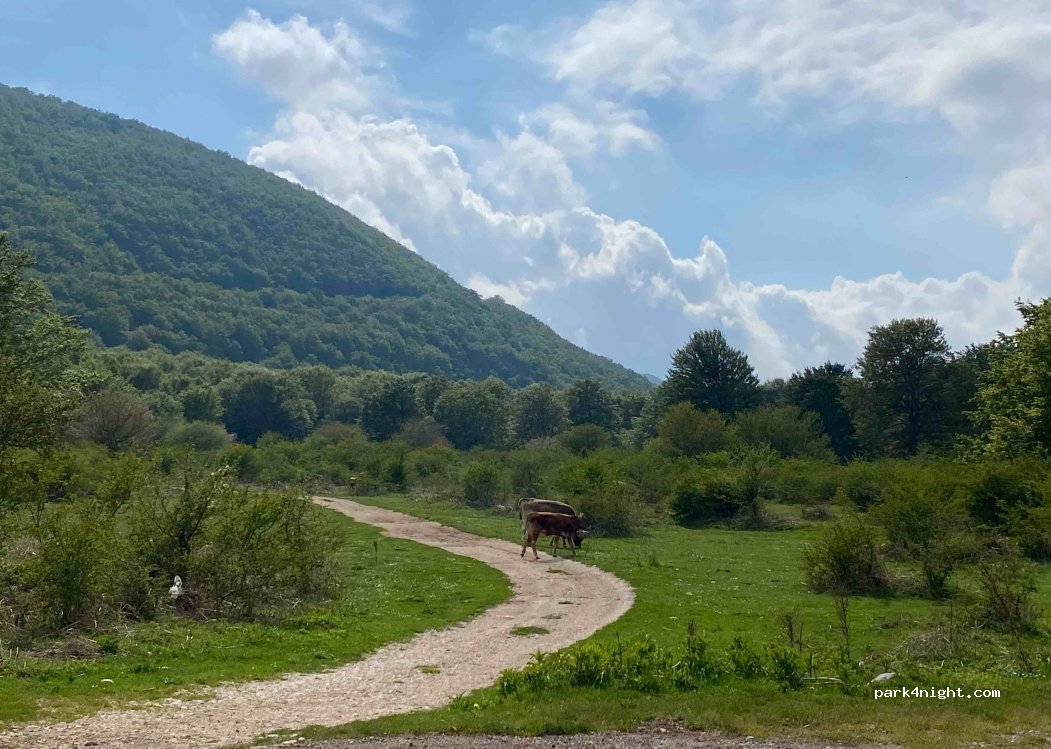 Parcheggio agriturismo Falode — foto 4