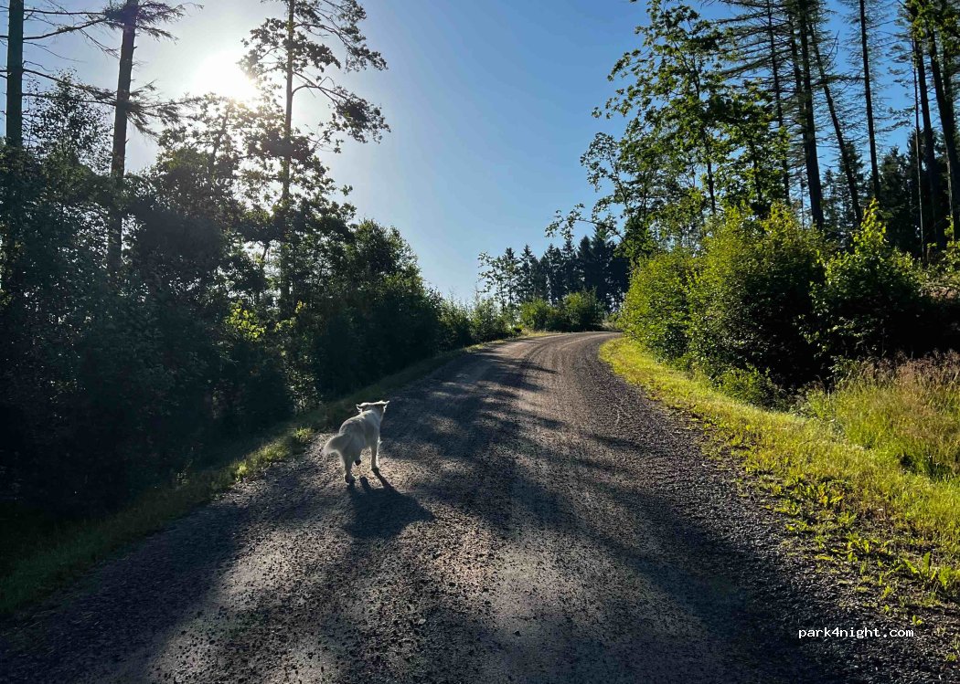 (455 98) Dingle - 11 BÄRFENDALS GAMLA PRÄSTGÅRD — foto 3