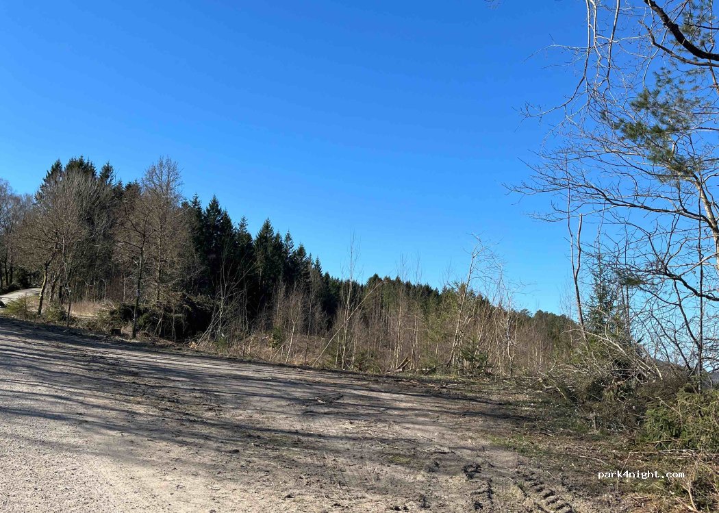 (455 98) Dingle - 11 BÄRFENDALS GAMLA PRÄSTGÅRD — foto 4
