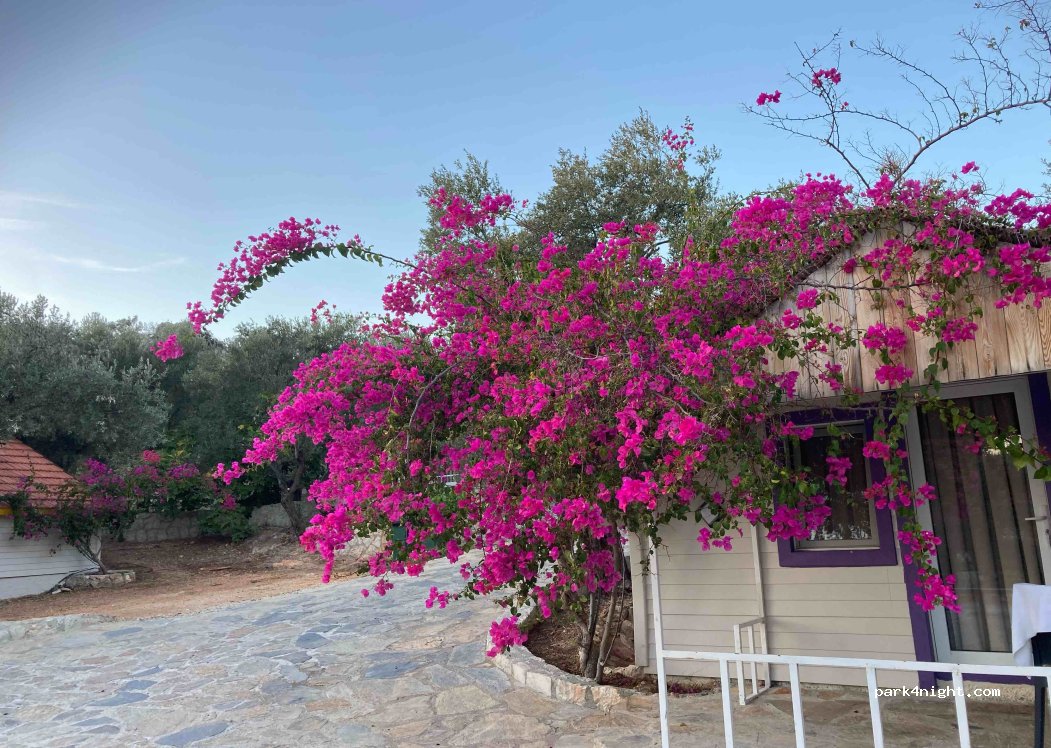 Kas camping — foto 4