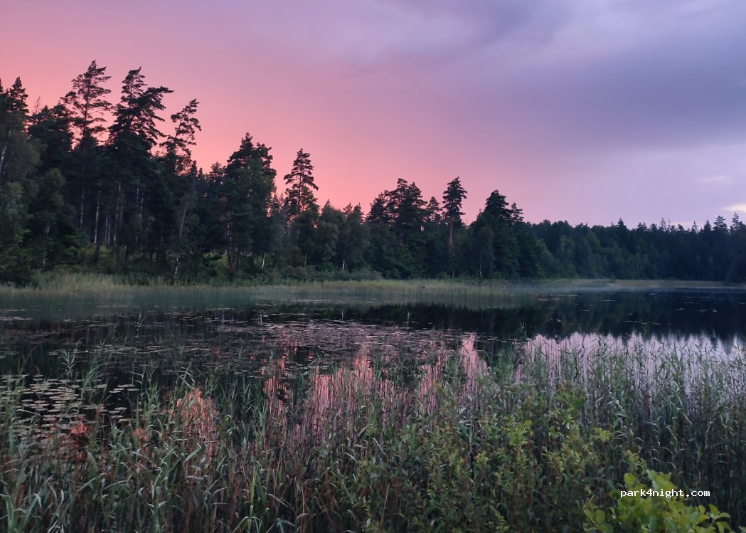 (370 17) Eringsboda - Unnamed Road — foto 3