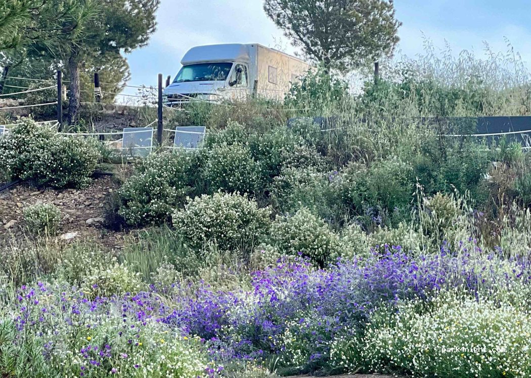 Shamwari Hilltop Retreat - Camping & Campervan Retreat — foto 3