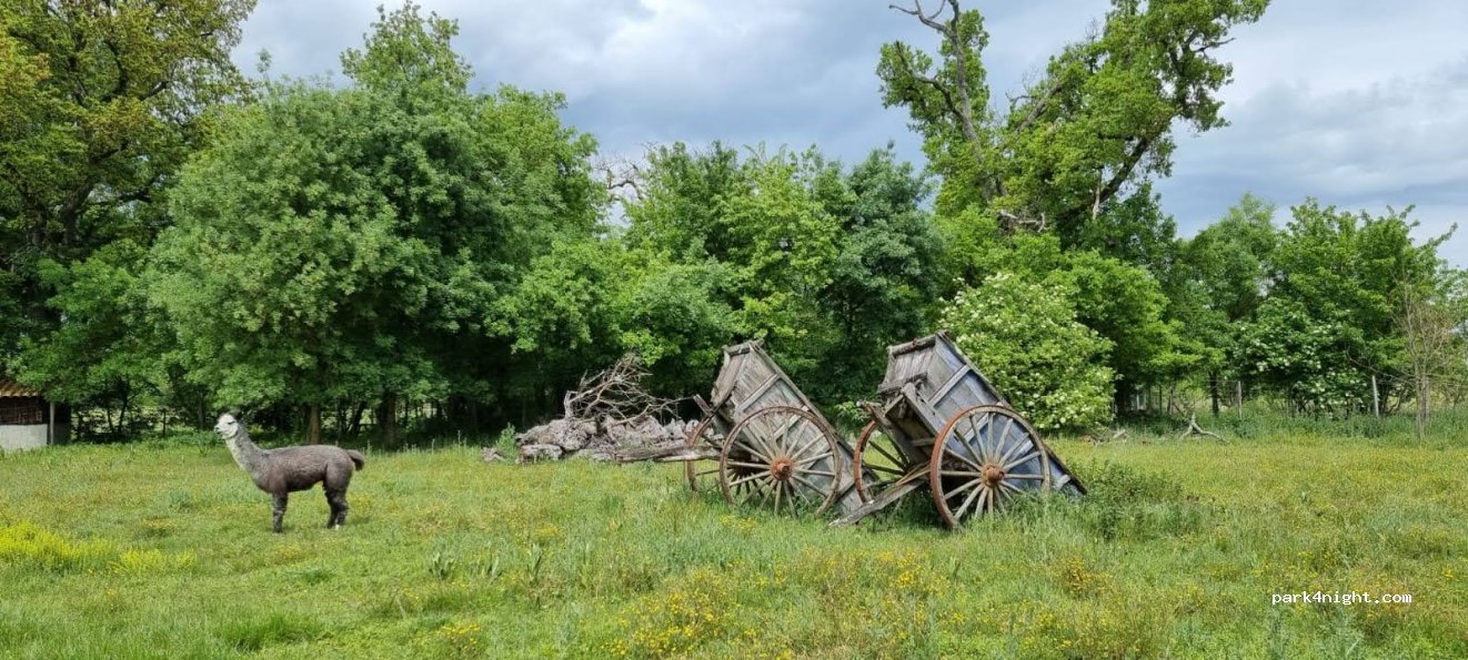 Ferme de Hustet — foto 2