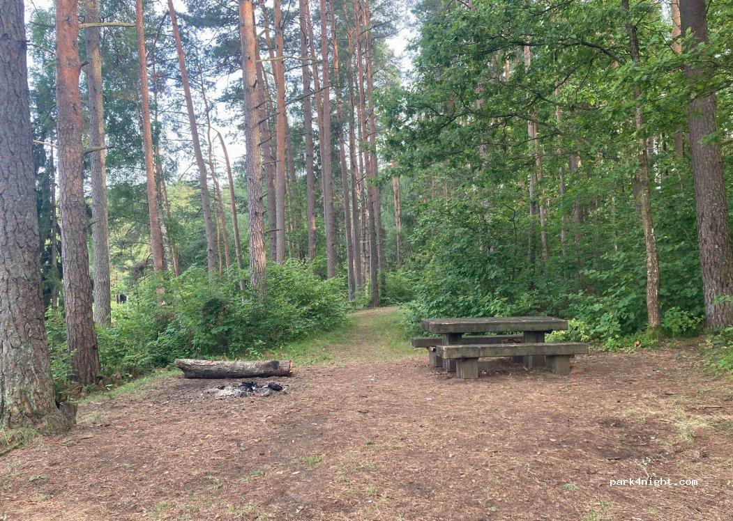 (33221) Dagiškės - Unnamed Road — foto 2