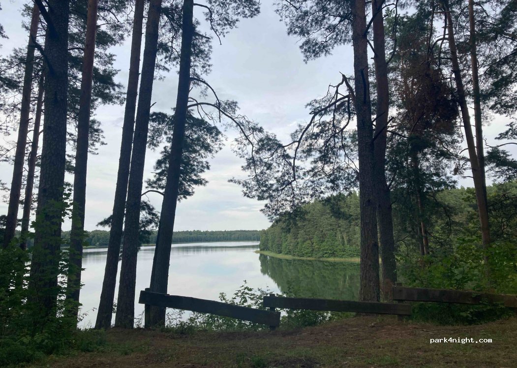 (33221) Dagiškės - Unnamed Road — foto 3