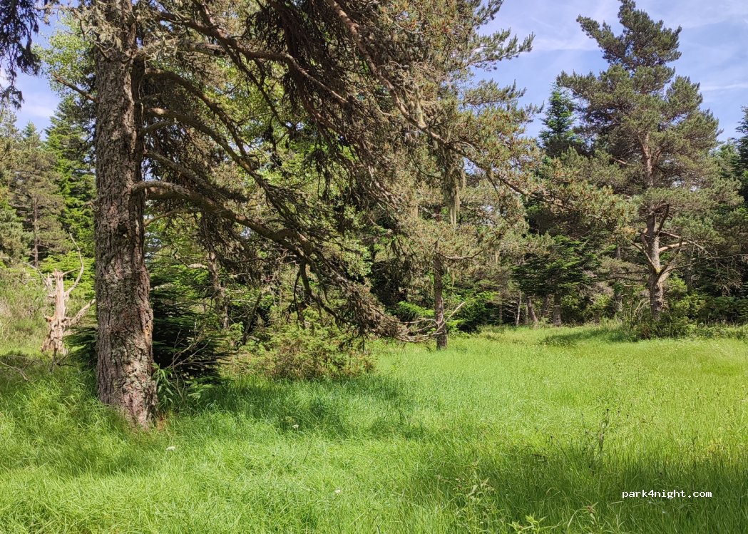 (42600) Verrières-en-Forez - Les Cinq Fond — foto
