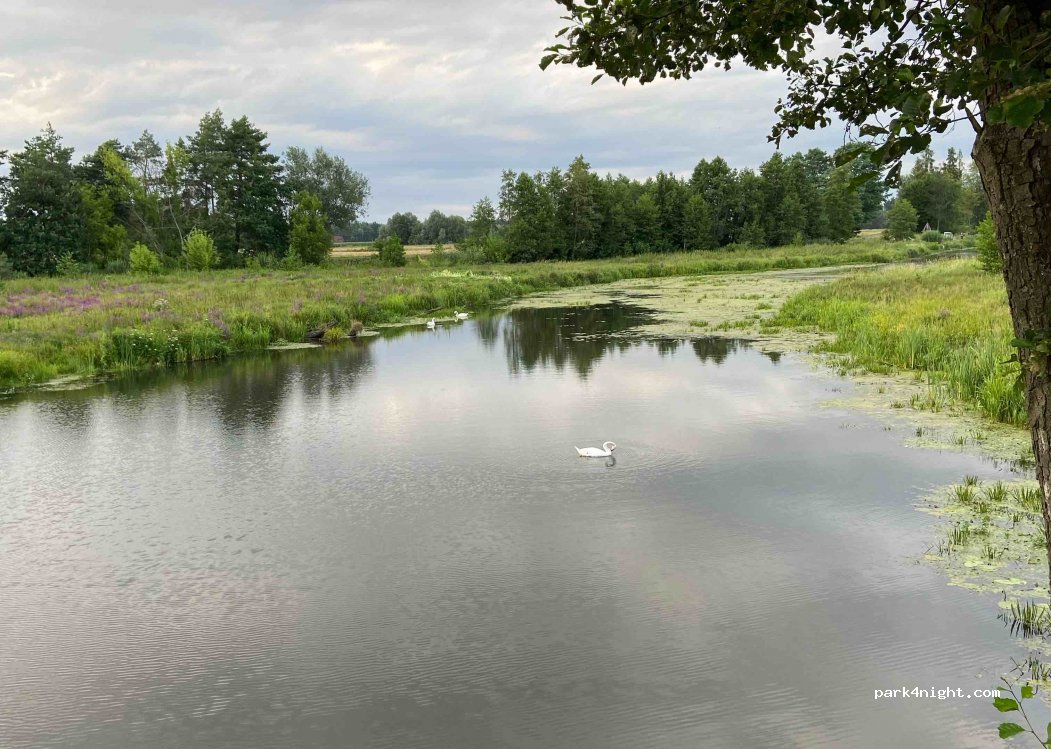 (07-230) Powiat wyszkowski - Łęgowa — foto 3