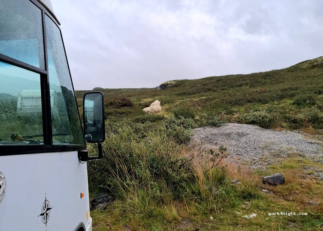 (3895) Edland - Unnamed Road — foto 5