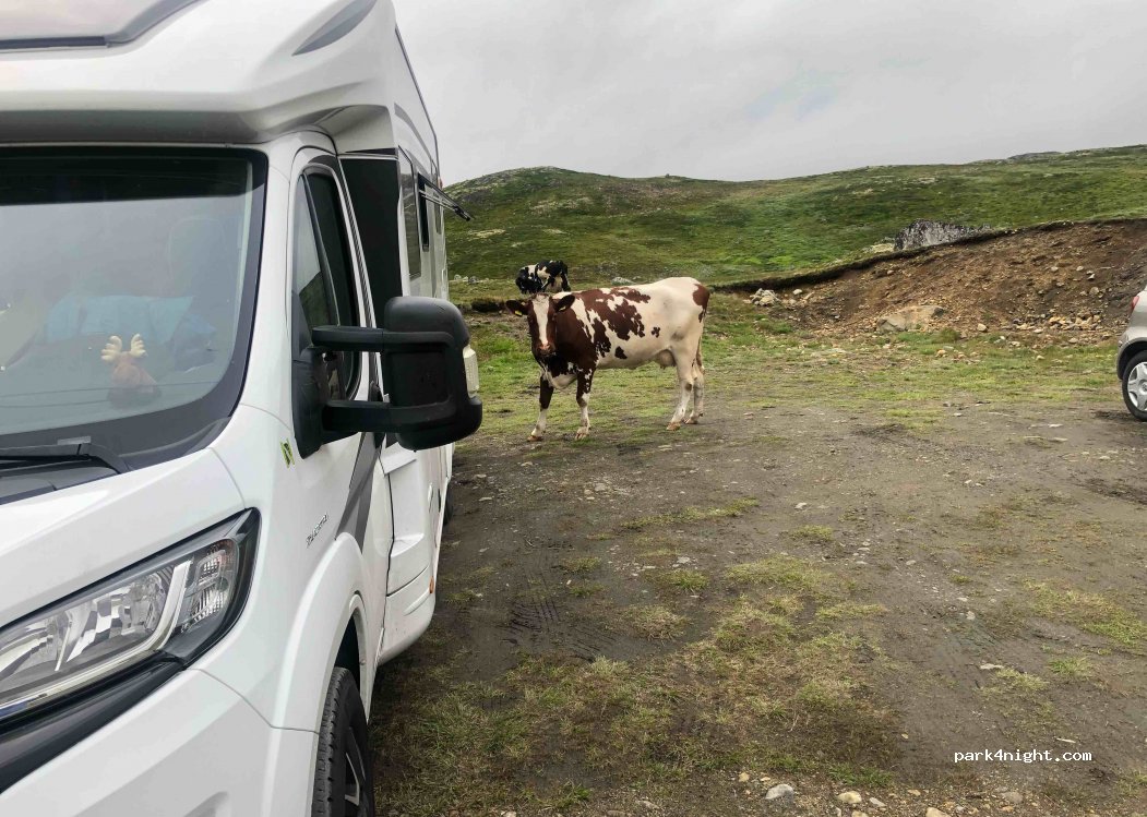 (5785) Vøringsfoss - 8 Krossdalen — foto 4