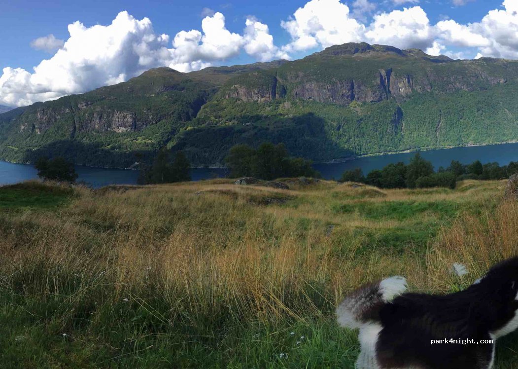 (4237) Suldalsosen - 347 Vallskorvegen — foto 3