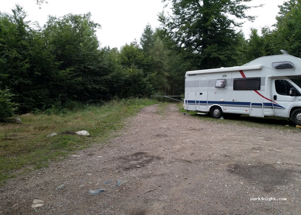 (243 92) Höör - 704 Länghult Hallaskog — foto