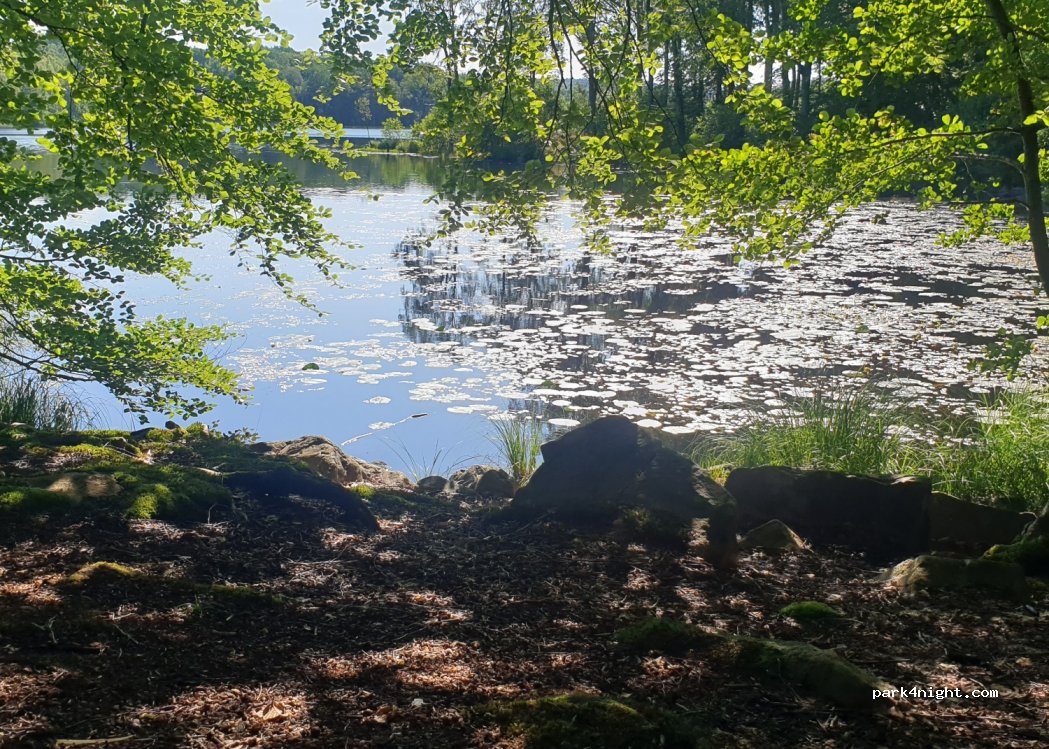 (243 92) Höör - 704 Länghult Hallaskog — foto 3