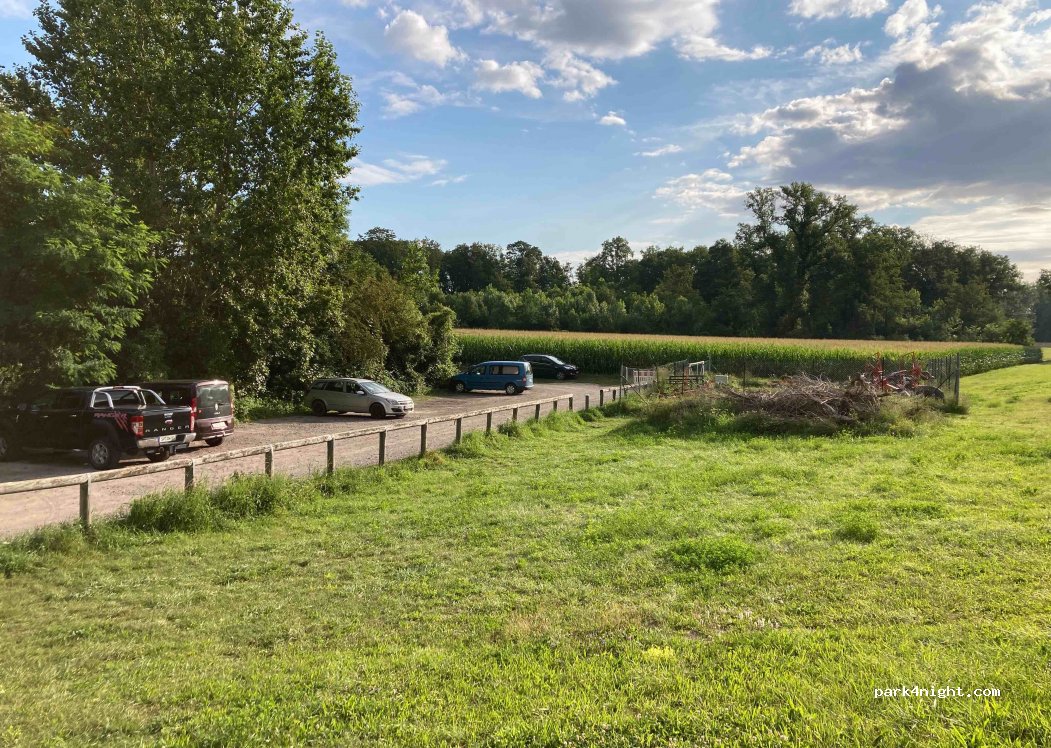 (67165) Waldsee - 7 Altrheinstraße — foto