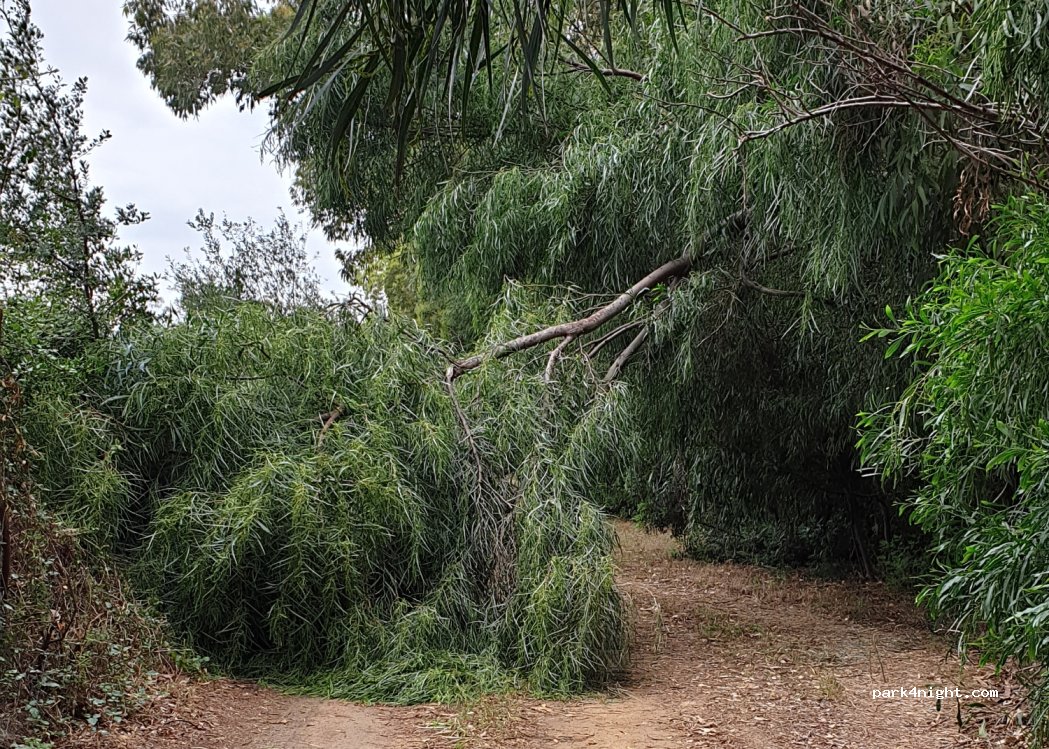 (07021) Arzachena - Unnamed Road — foto 2