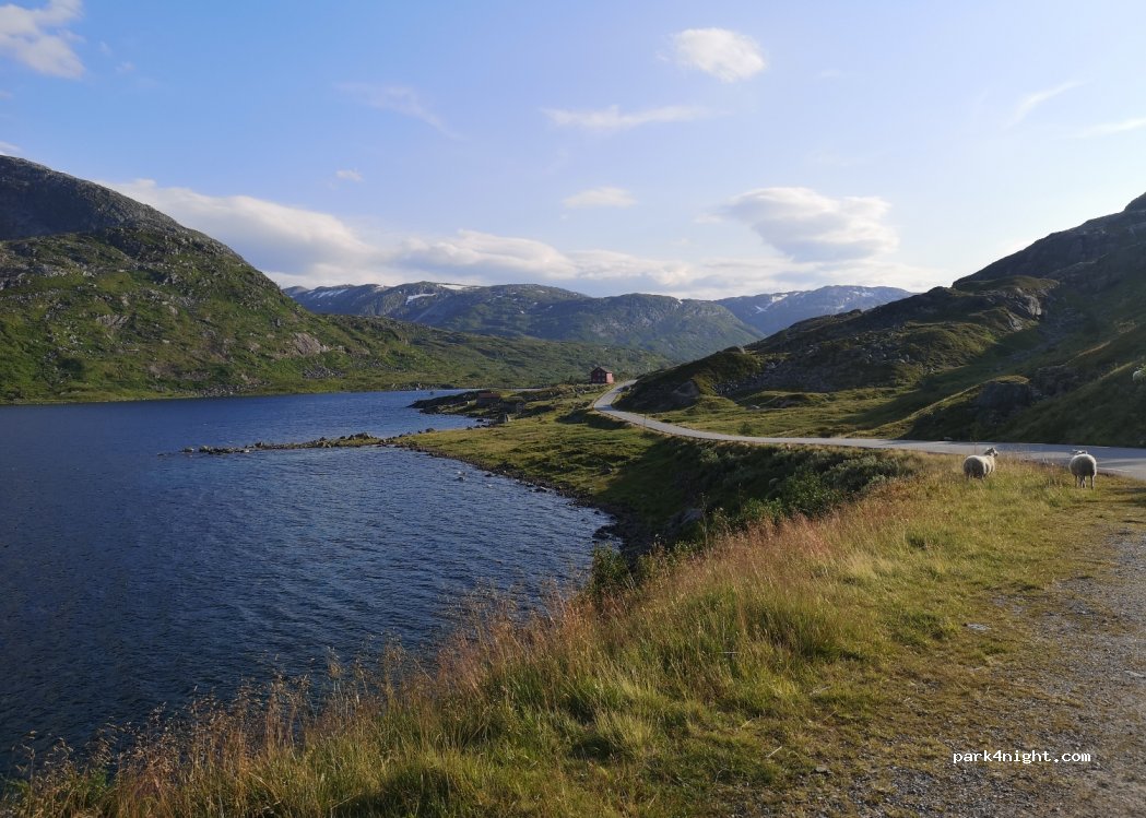 (6899) Balestrand - Sekundær Fylkesvei 13 — foto