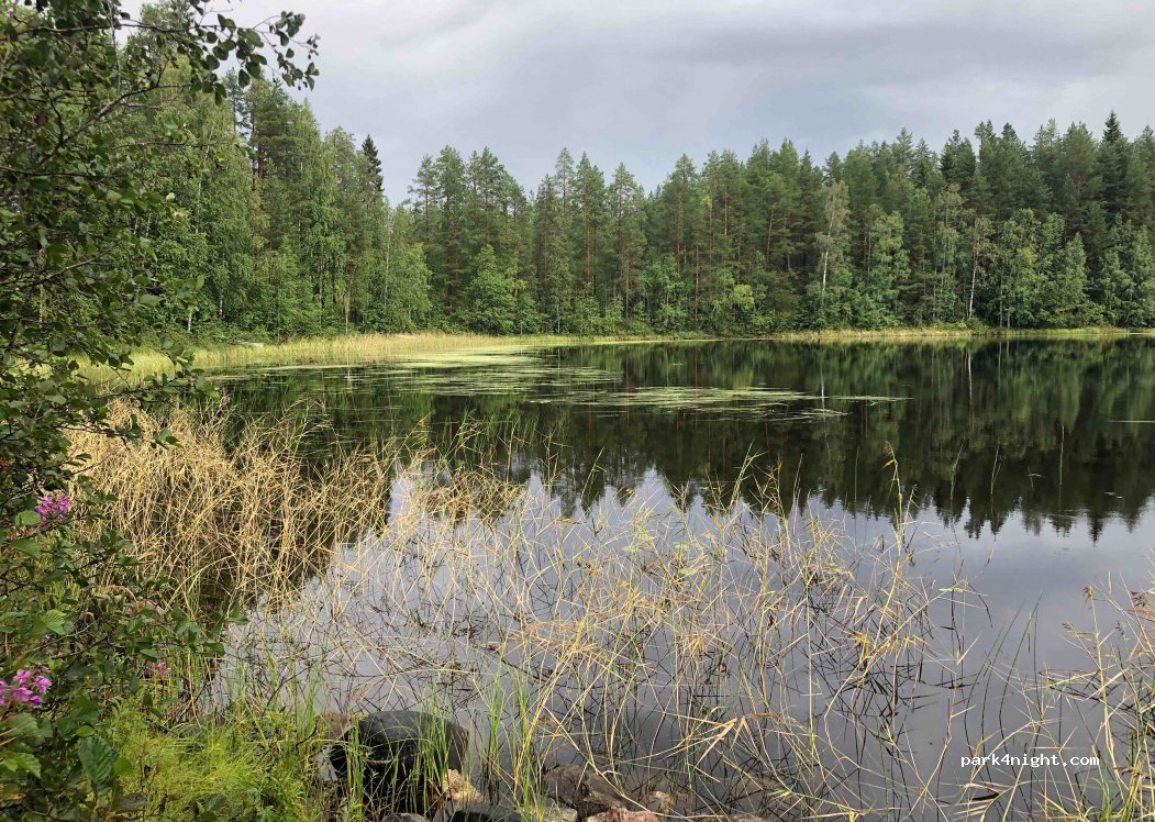 (88900) Kuhmo - 2418 Lentiirantie — foto 3