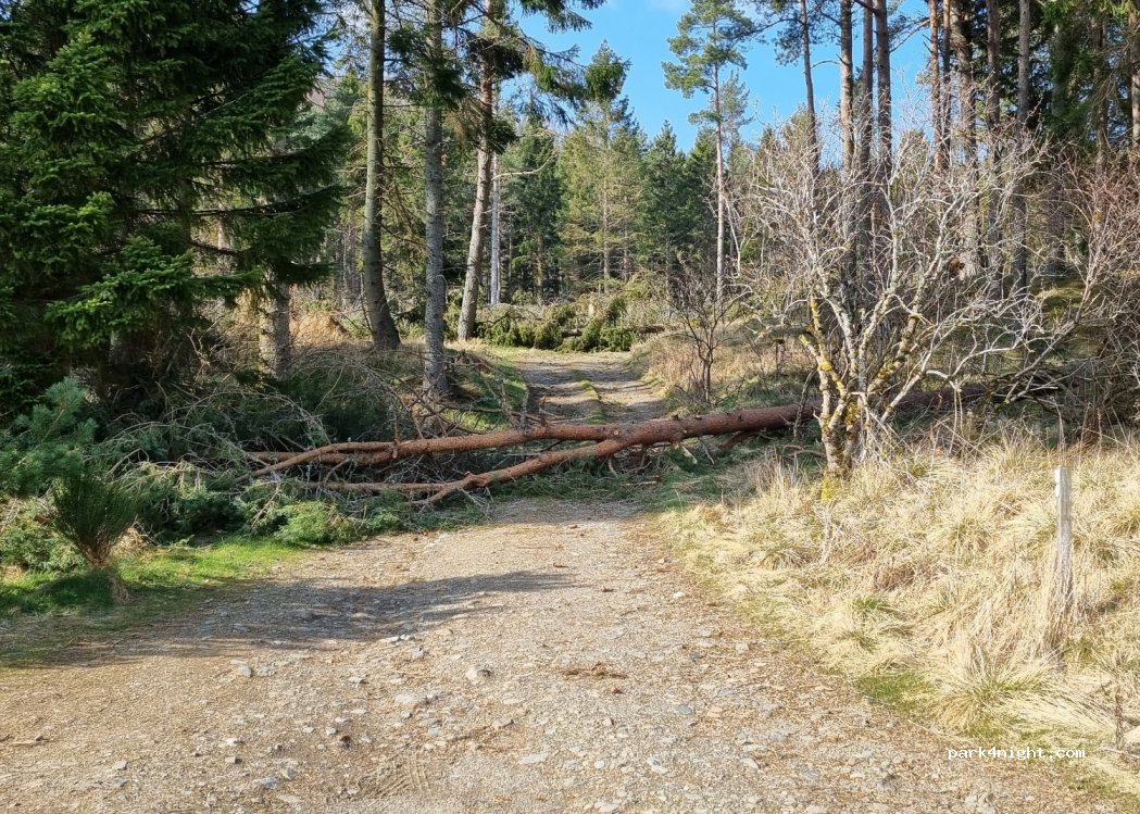 (AB36 8TN) Strathdon - A97 — foto 2