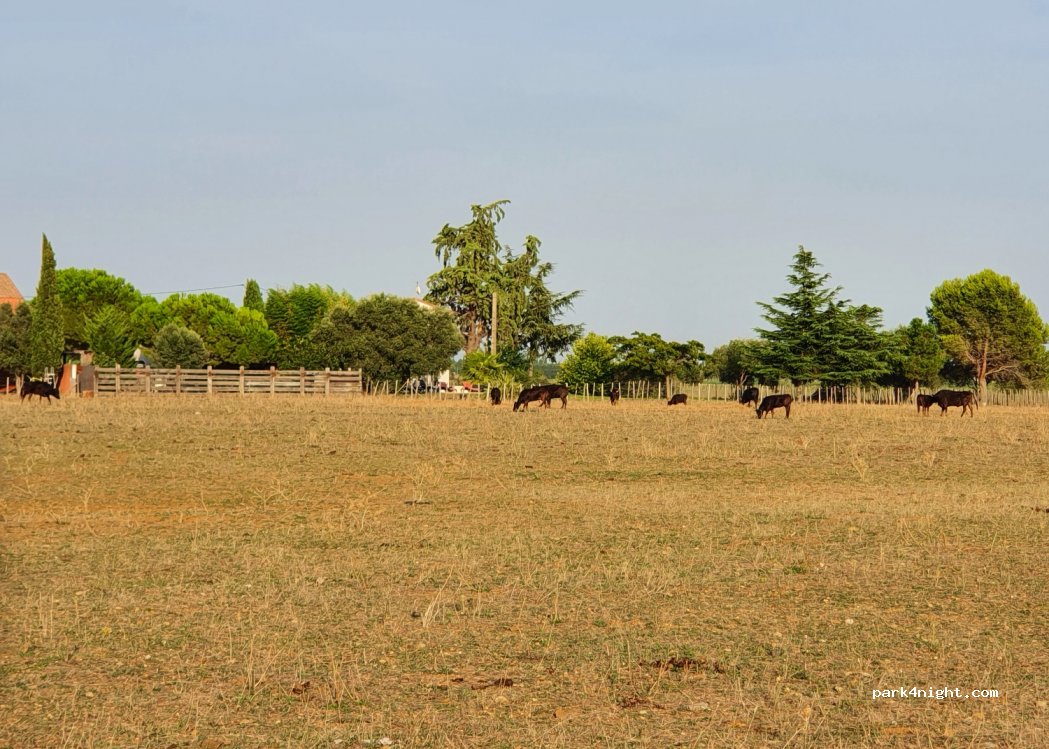 Camping Bon Port — foto 3