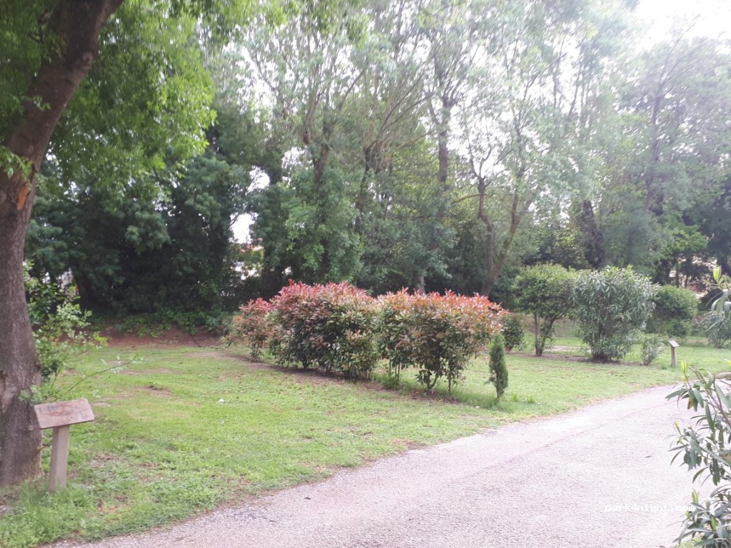 Camping Les Pins Argeles — foto 3